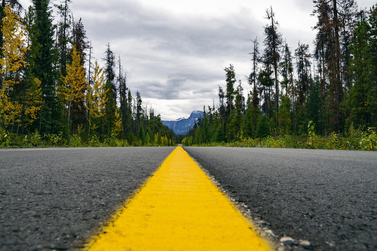 Traefik routing issue between frontend and backend containers