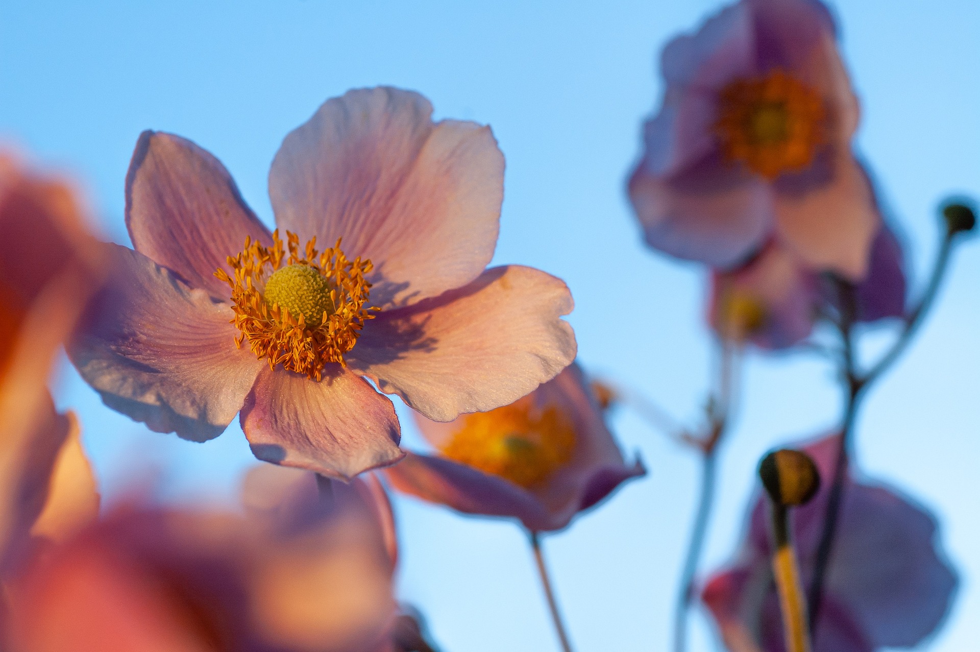 Understanding Kubernetes Storage Management