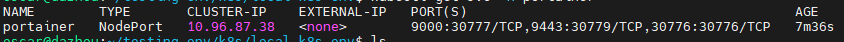 portainer-service