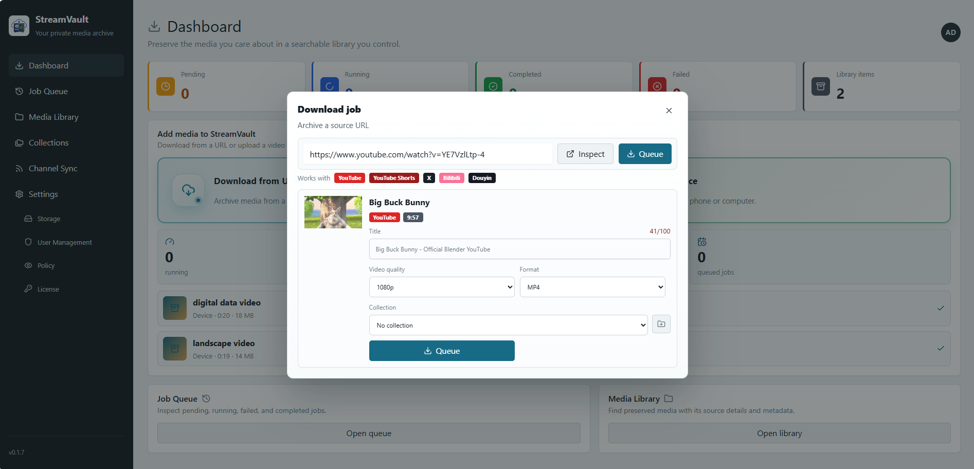 Inspect source metadata and choose video quality, format, and collection before queuing a job